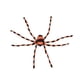 thumbnail image 3 of Decoración de araña de Halloween, arañas falsas, modelo de araña decorativa, accesorio de araña peluda aterradora para fiesta, patio interior y 200cm, 3 of 8