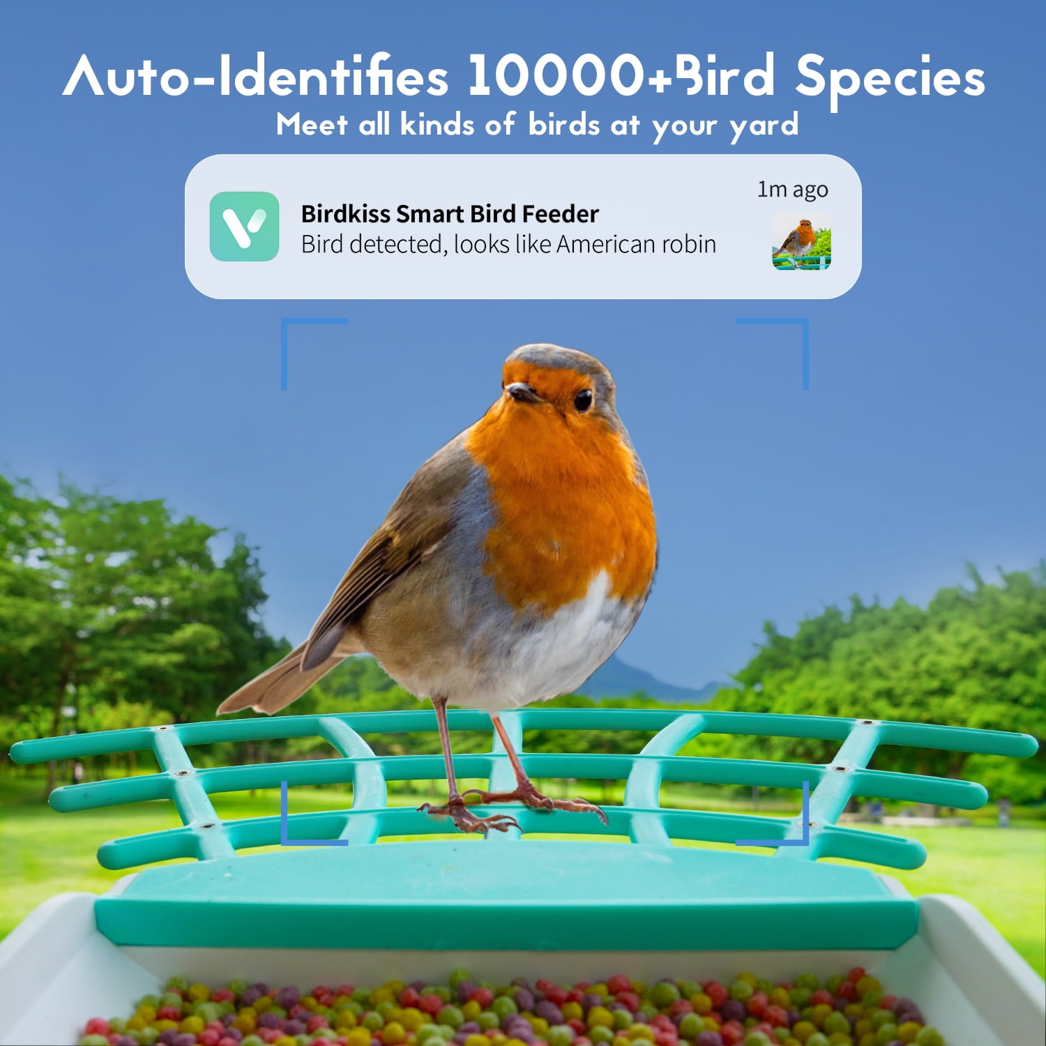 Birdkiss Bird Feeder with Camera, AI Identify Bird, Solar Panel, Built-in Microphone for Bird Watching Lovers