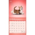 thumbnail image 3 of Yoga Kittens OFFICIAL | 2027 12x24" (Hanging) Wall Calendar | Plato, 3 of 9