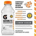 thumbnail image 3 of Gatorlyte Rapid Rehydration 6‑Flavor Sampler Pack, 20oz Bottles (6 Count), 3 of 20