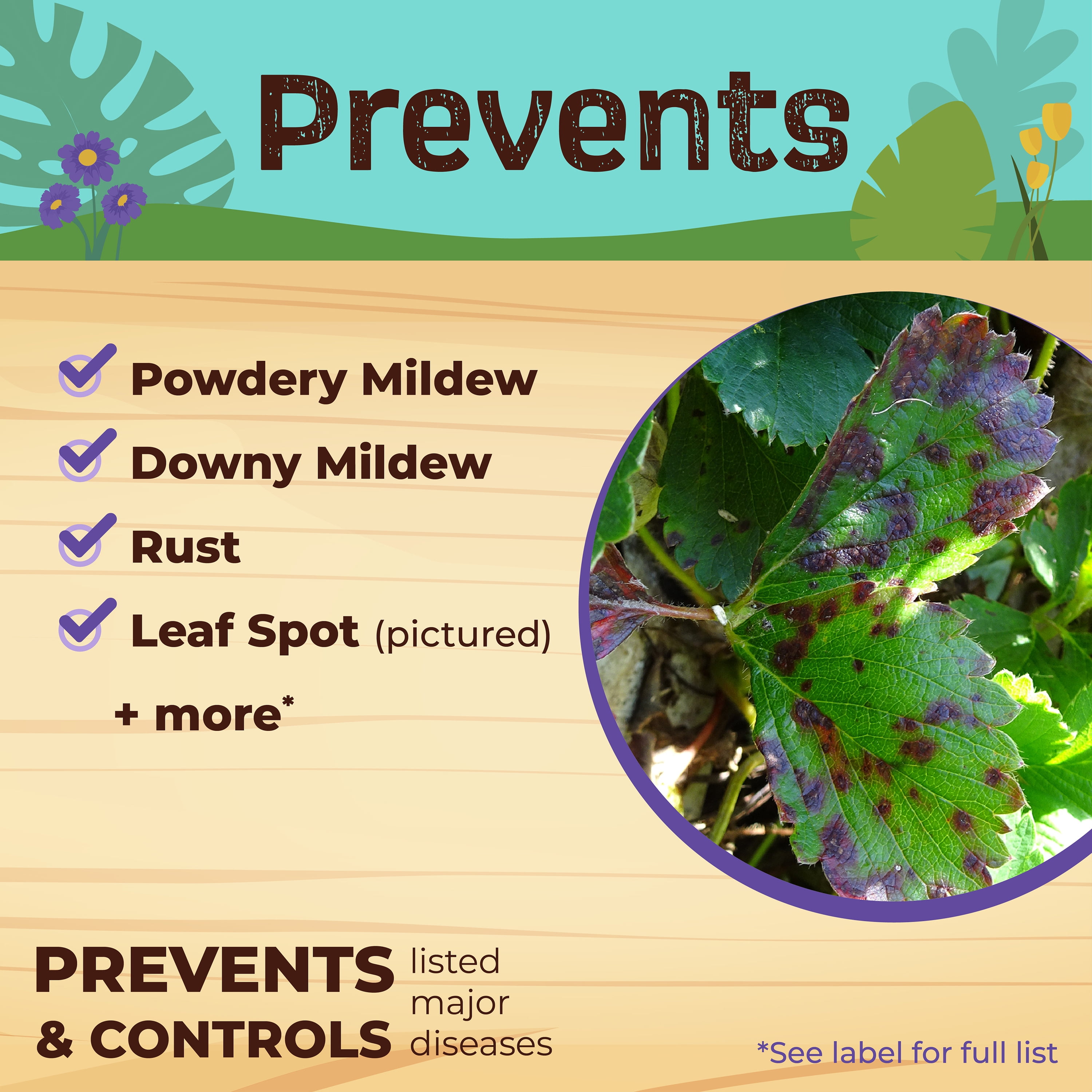 Bonide Captain Jack's 8 oz Neem Max Concentrate Controls Insects, Mites, Nematodes and Fungus