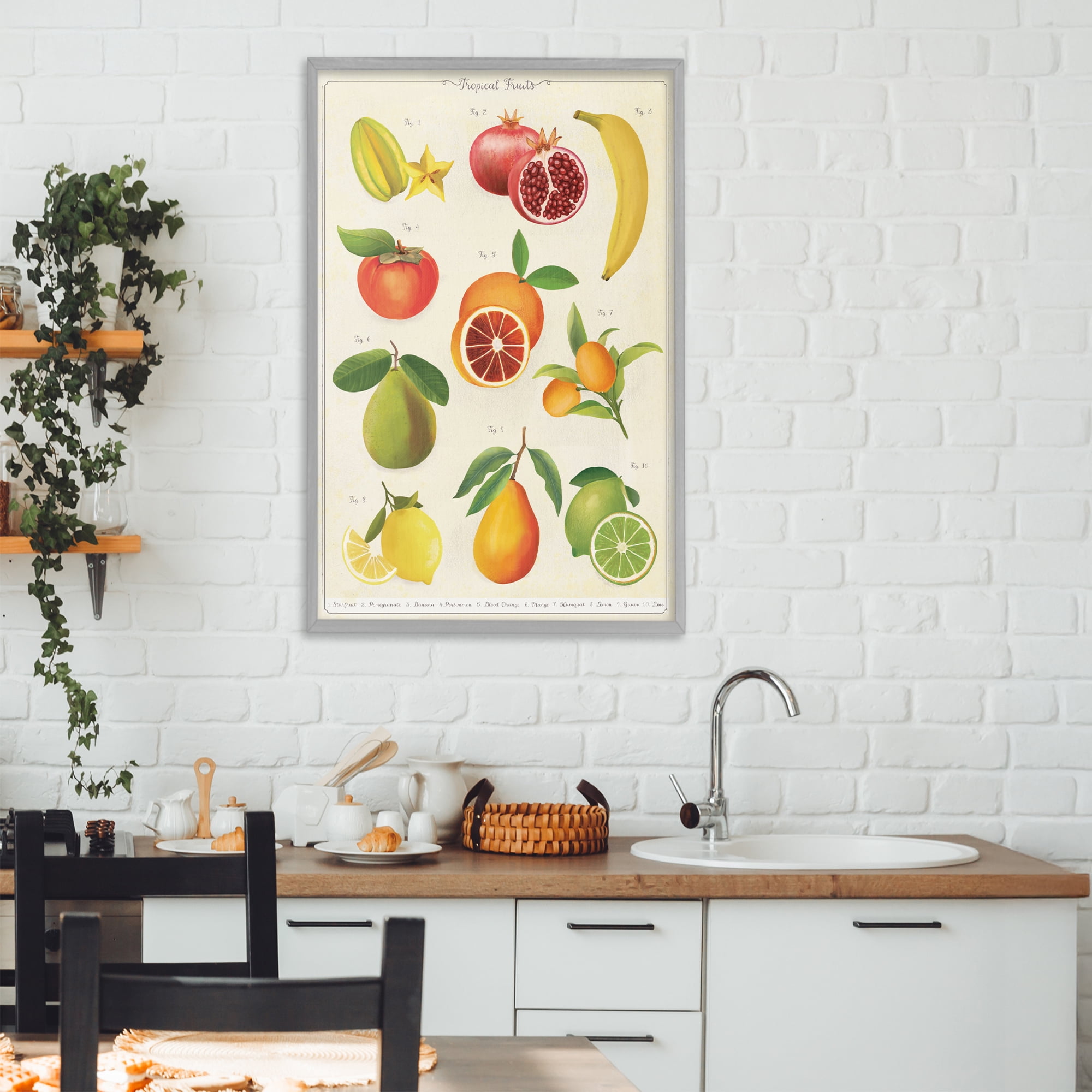 Stupell Industries Vintage Tropical Fruit Studies Gray Framed Giclee Art, design by Diane Neukirch