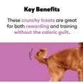 thumbnail image 6 of Wiggles & Wags Freeze Dried Chicken Crunchy Dog Treats, 5 oz, 6 of 7