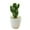type:style3;, variant on Artificial small tropical plant simulation cactus bonsai artificial simulation potted plant - type:style1;