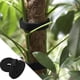 thumbnail image 2 of Paquete de 2 lazos para plantas de jardín, rollos de cinta de nailon reutilizables para plantas trepadoras - 10 mm x 10 m - negro, 2 of 5