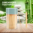 thumbnail image 3 of TRTRin Bamboo Toothpicks [3000 Count] - With Reusable Toothpick Holder, Sturdy Smooth Finish Tooth Picks, for Party, Appetizer, Olive, Barbecue, Fruit and Teeth Cleaning, Green., 3 of 6