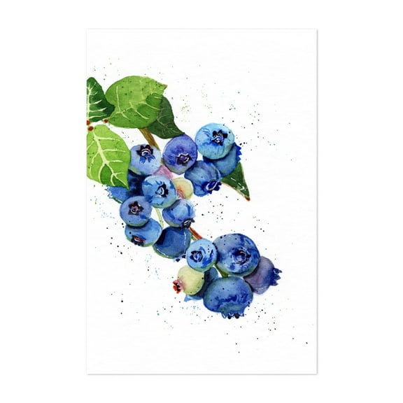 Blueberries - Painting Watercolor Fruit Botanical Illustration Floral Nature Kitchen Decor Unframed Wall Art Print 4 x 6 inches