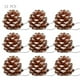 thumbnail image 1 of 12 piezas de piña nueva cultivada en pinos Ponderosa del Pacífico para decorar el árbol de Navidad NikouMX Muebles, 1 of 6