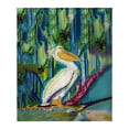 thumbnail image 1 of Betsydrake BK1146 King Pelican II Throw, 1 of 1
