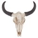 thumbnail image 1 of 1 colgante de pared con forma de calavera., 1 of 3