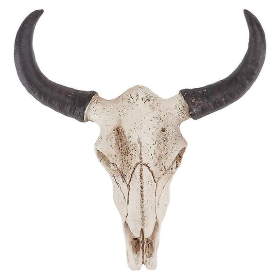 1pcs Skull Wall Hanging