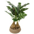 thumbnail image 3 of Small Monstera Bonsai Pot Simulated Potted Monstera Decoration Table Monstera Plant Bonsai Decor, 3 of 8