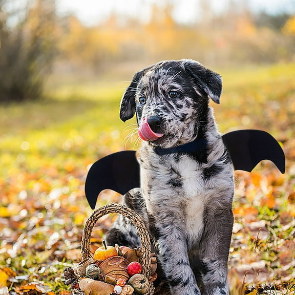 KMMYS Halloween Funny Pet Bats Clothes for Dogs & Cats, Cosplay Costume, Perfect for Parties and Photo Shoots, Dog Wing Suit for Outdoor Activities, Cute Pet Outfit