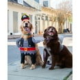 thumbnail image 2 of Pet Krewe Medium Dog Pirate Costume | Pet Costume with Arms, Pirate Hat, Tunic and Cape - Perfect for Christmas Holiday, Parties, Photoshoots, Gifts for Dog lovers, 2 of 8