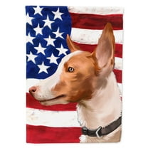 Carolines Treasures CK6404GF Andalusian Hound Dog American Garden Size Outdoor-Flags, Multicolor