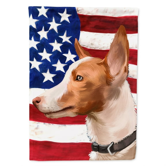 Carolines Treasures CK6404GF Andalusian Hound Dog American Garden Size Outdoor-Flags, Multicolor