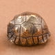 thumbnail image 5 of Mini Llavero de Estatuilla de Concha de Tortuga, Accesorios, Colgante de Llavero de Concha de Tortuga, 5 of 9