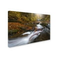thumbnail image 2 of Trademark Fine Art 'Oxygen' Canvas Art by Mathieu Rivrin, 2 of 3