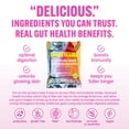 thumbnail image 3 of Belliwelli Soft Baked Probiotic Snack Bars | Gluten-Free, Dairy-Free, Vegan, Low-FODMAP | High-Fiber, Healthy & Tasty | Variety (8 Pack), 3 of 5