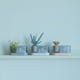 thumbnail image 5 of Lámpara de mesa Mountain Colors Lámpara de mesa para plantas Mini planta en maceta Luz ambiental (rosa), 5 of 5