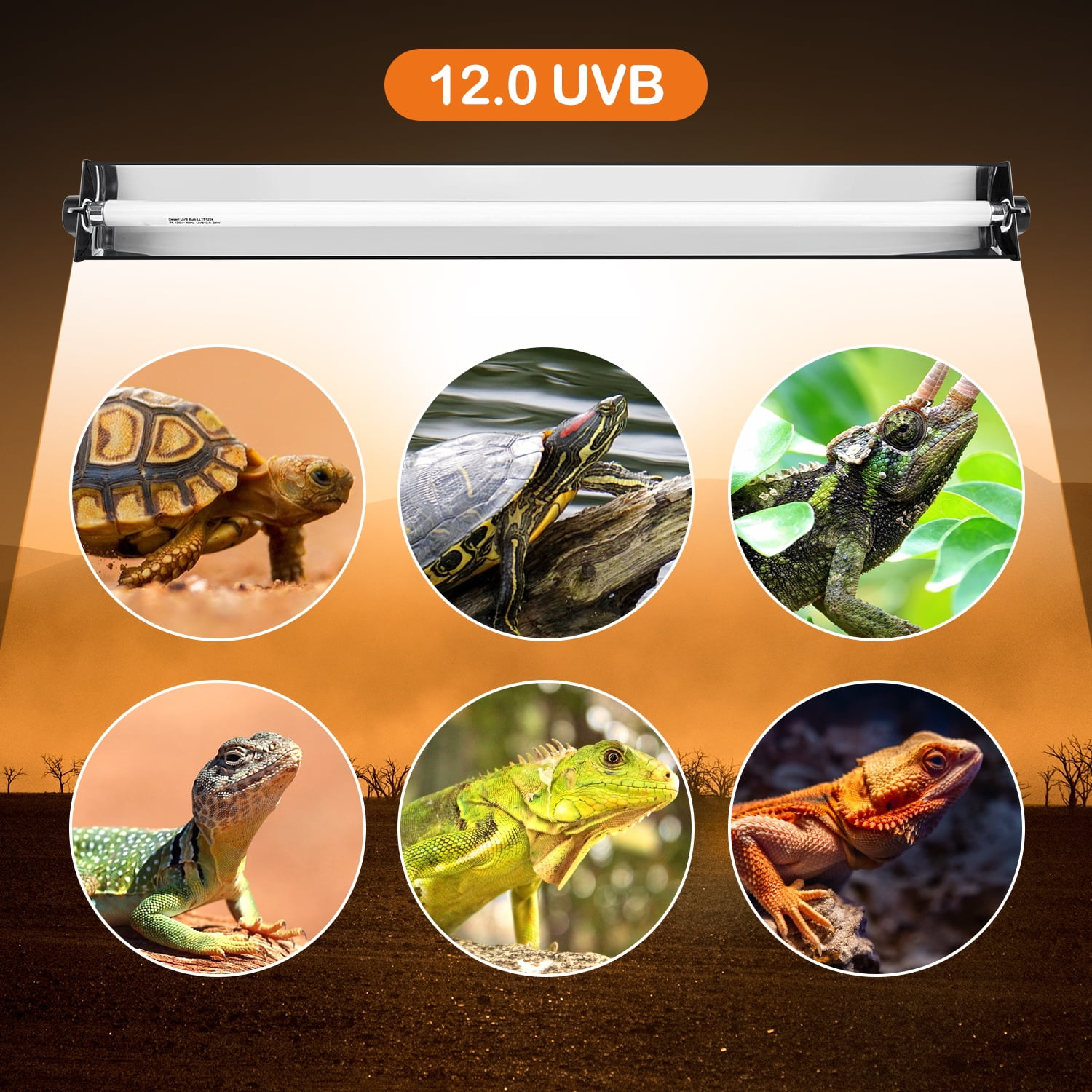 ECOSUB 24W T5 HO UVB Reptile Terrarium Habitat Lighting Kit, White