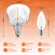 thumbnail image 4 of Bombilla LED Edison OMED S125 sobredimensionada de 5 W 400 LM 2700 K E26, 4 of 9
