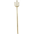 thumbnail image 5 of Golden Trident, 5 of 5