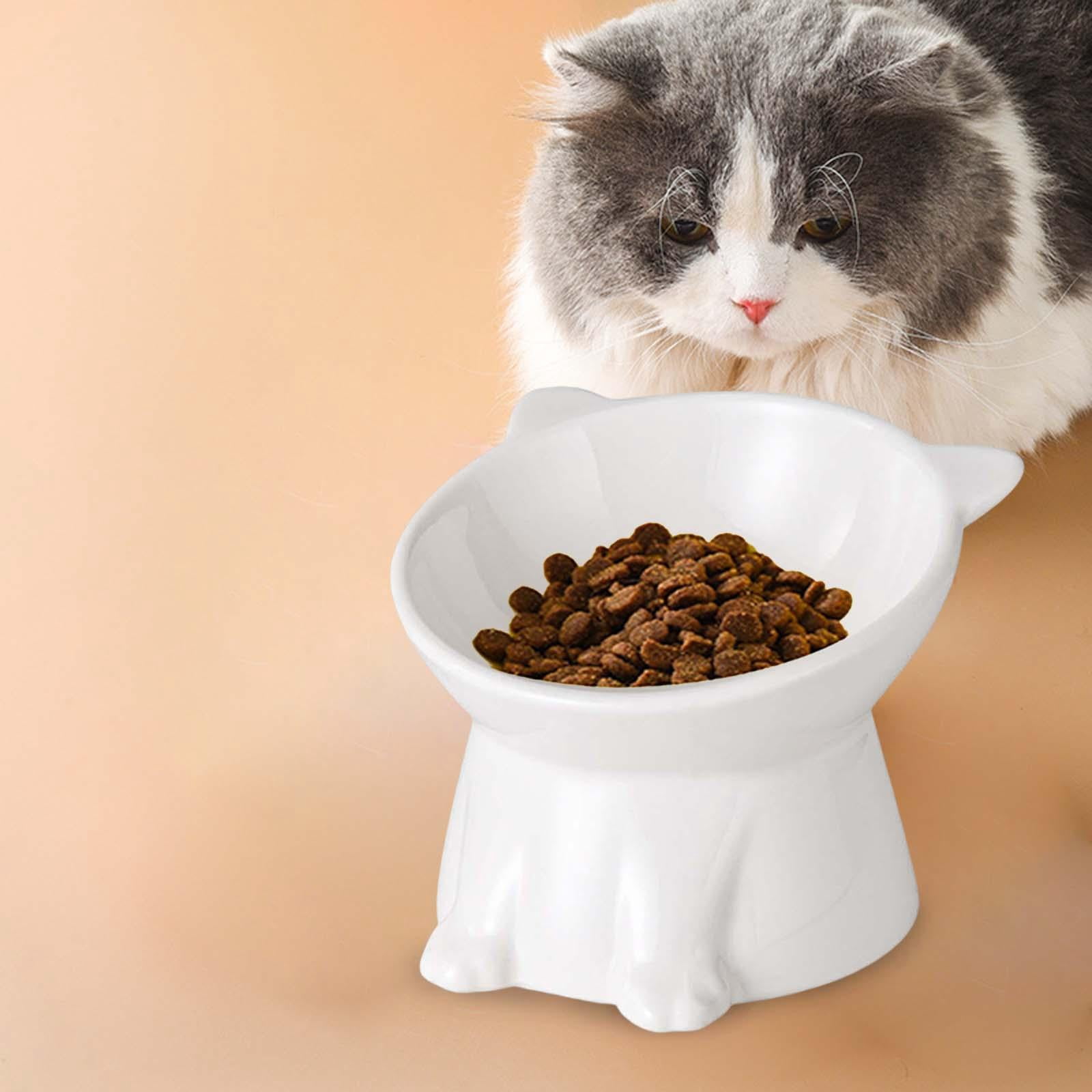 Raised Cat Bowl Pet Food Bowl Durable Food Container Cat Dishes Elevated Cat Food Bowl Tilted Elevated Cat Bowl for Small Dogs Supplies white