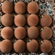thumbnail image 1 of 15 Pcs Velvet Christmas Balls Flocked Christmas Tree Ornaments Plastic Balls Xmas Decorative Hanging Ornaments Christmas Tree Decoration, 1 of 7