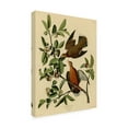 thumbnail image 4 of Audubon 'Zenaida Dovesplate 162' Canvas Art, 4 of 4