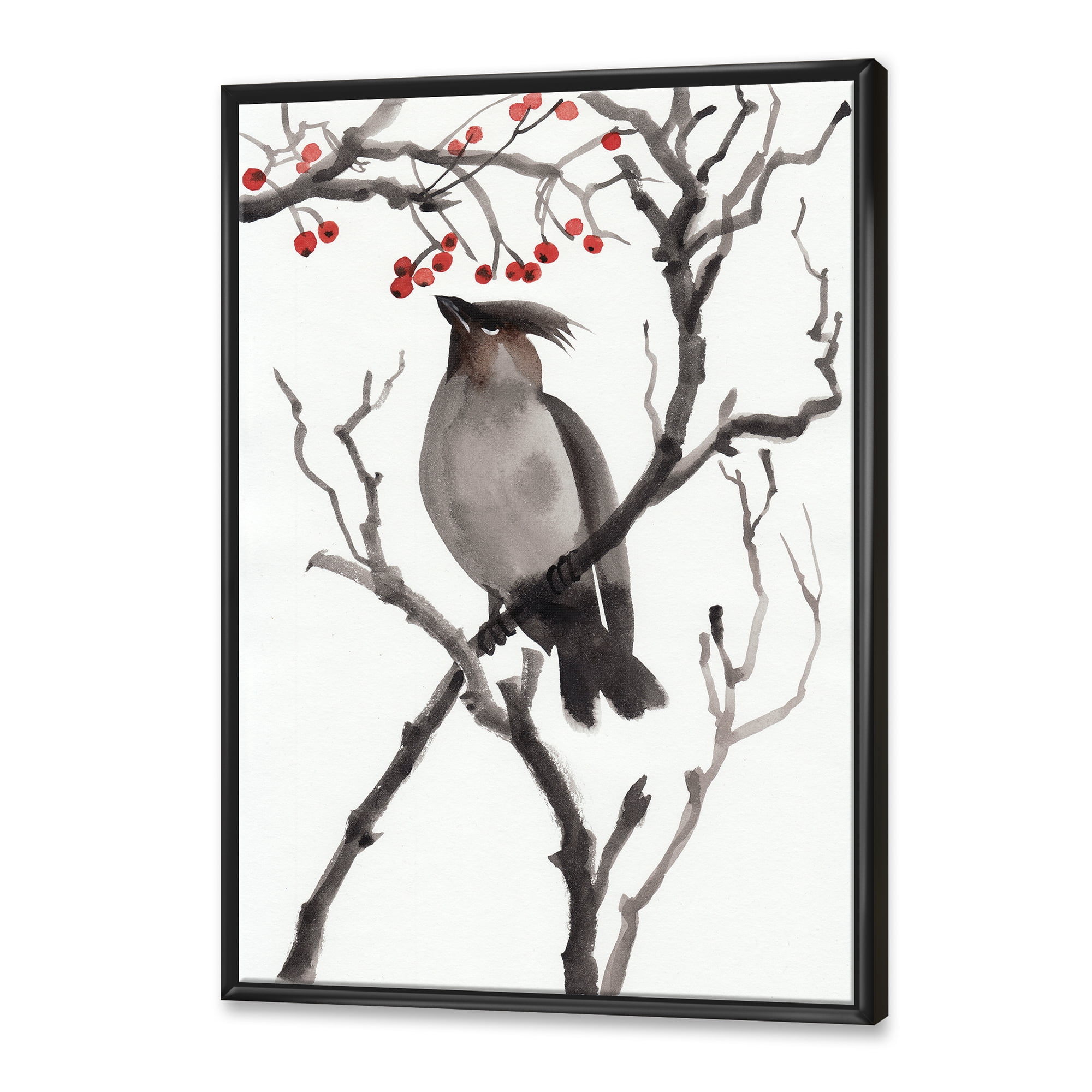 Ancient Australian Bird Illustrations III 30 in x 40 in Framed Painting Canvas Art Print, by Designart
