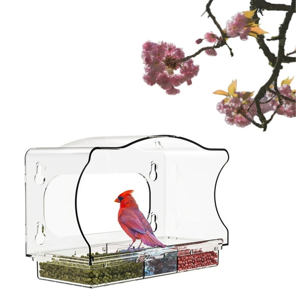 Riforla Window Bird Feeders with Strong Suction Cups Color Printed for Wild Birds Garden Yard Clear Bird Feeders for Window Viewing Outdoors Window Bird Feeder for Cats Bird Feeders B