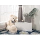 thumbnail image 4 of Giant Teddy Bear Plush Stuffed Animal For Girlfriend Or Kids 31.5",(white), 4 of 4