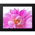 thumbnail image 2 of Frank, Assaf 18x15 Black Modern Framed Museum Art Print Titled - Dahlia Flower, 2 of 5