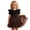 Black, variant on Toddlers and Baby Girls' Sleeveless Dress Leopard Print Bow Tie Mesh Tutu Dress Party Gown for Kids Dress for Little Girls 18-24 Months