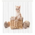 thumbnail image 2 of Ambesonne Kitty Shower Curtain, Goofy Small Cat in Basket, 69"Wx70"L, Pastel Brown and Pale Salmon, 2 of 4