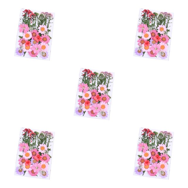 Injueey Flores secas Ramos naturales Flores prensadas Múltiples decoraciones florales Pintura de pared Accesorios de bricolaje Decoración de A 5Conjunto