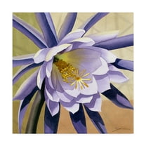 Trademark Fine Art 'Desert Bloom Flower II' Canvas Art by Jason Higby