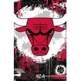 thumbnail image 3 of NBA Chicago Bulls - Maximalist Logo 23 Wall Poster with Pushpins, 22.375" x 34", 3 of 4