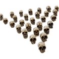 thumbnail image 2 of 20Pcs Mini Skull Model Creative Halloween Mini Skull Heads Flower Pot Decoration, 2 of 10