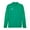 Green, variant on Mens TeamFinal Quarter Zip Training Top