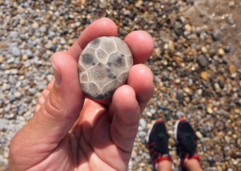 Shore Rock Petoskey Stone Beach Stone Hunting20 Inch By 30 Inch