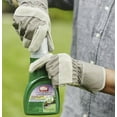 Ortho 0396415 16 oz Bottle of Weed B Gon Chickweed Clover Oxalis Lawn Ortho 0396415 16 oz Bottle of Weed B Gon Chickweed Clover Oxalis Lawn