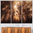 thumbnail image 1 of Picturesque Autumn Forest, 1 of 1