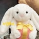 thumbnail image 1 of Jellycat Shy Embrace pequeño regalo Bonnie Rabbit peluche juguete calmante niños muñeca regalo muñeca, 1 of 5