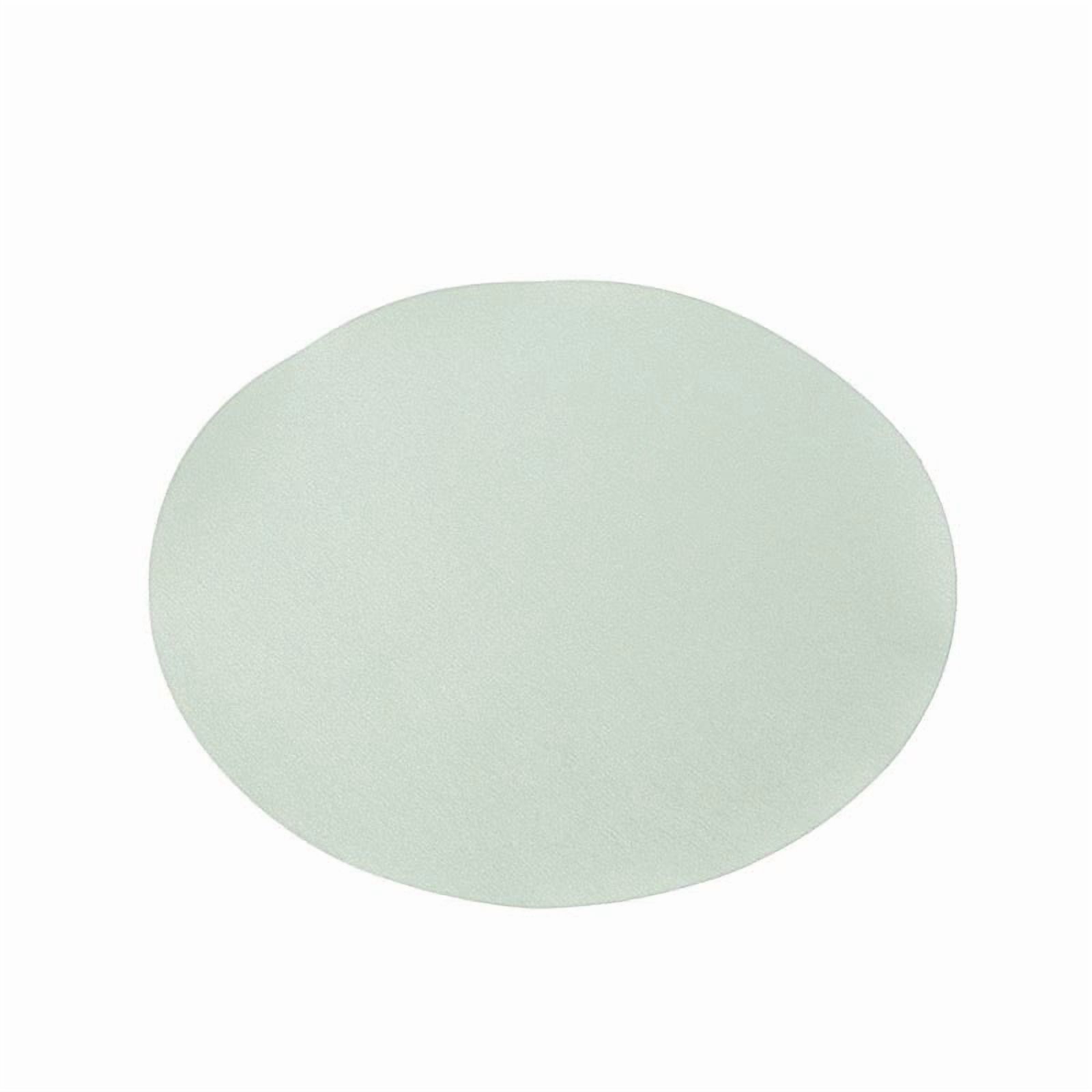 Balsa Circle 50 Round 13 in Sage Green Disposable Paper Table Placemats Party Events Decorations Supplies