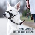thumbnail image 2 of GoodBoy Dog Head Halter con correa de seguridad - Topes, 2 of 5