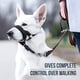 thumbnail image 2 of GoodBoy Dog Head Halter con correa de seguridad - Topes, 2 of 5