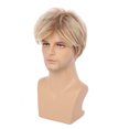 thumbnail image 2 of Pelucas Hombres Peluca Rubia Pelucas Sintéticas Naturales De Capas Cortas Resistentes Al Calor Peluca De Disfraz De Cosplay Con Gorro De Peluca, 2 of 5