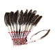 thumbnail image 1 of Tocado de plumas de jefe para adultos, ideal para cosplay, disfraces y actuaciones en escenario., 1 of 8